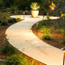 Landscape Ideas