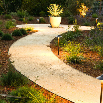 Sustainable Hillsborough Garden