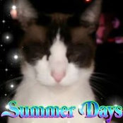 Dixie Van Cleef's photo