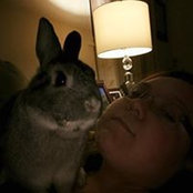 Sarah Alfano's photo
