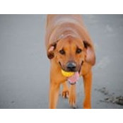 Pat Wright-Buckley's photo