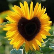 Deborah Blease's photo
