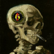 Foto von Raider Marine