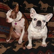 Nita Denham's photo