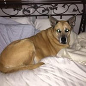 Gina Ciavarella's photo