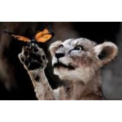 Hannele Gauthier's photo