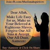 Hafsa Bee's photo