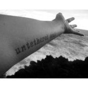 Lisa Hardwick's photo