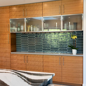 Ellis Hollow Modern Kitchen