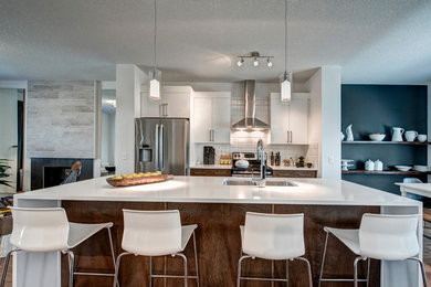 Kitchen - contemporary kitchen idea in Other