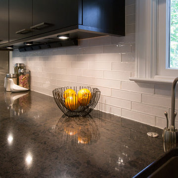 Silver Spring Modern Kitchen Design Remodel