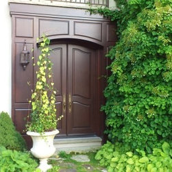 Windows & Doors - Front Doors
