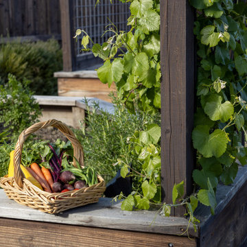 HARVEST