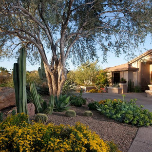 75 Beautiful Desert Front Yard Landscaping Pictures & Ideas - August ...