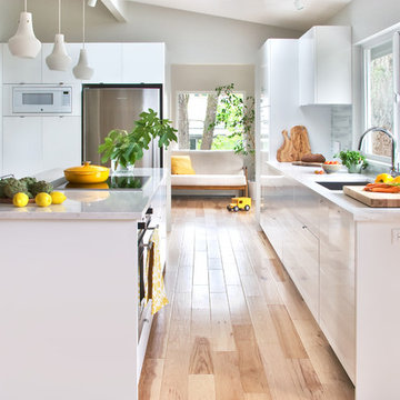 Bright Kitchen in the Trees