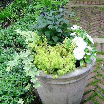 Summer Container Gardens - Various Clients in Northern New Jersey