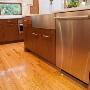 Contemporary Renovation