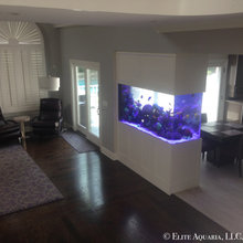 Saltwater Aquarium