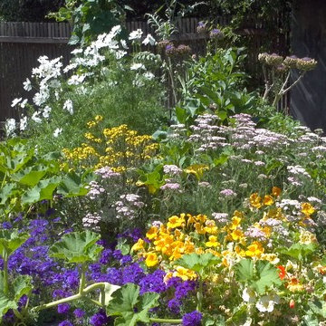 Raised vegetable and flower garden