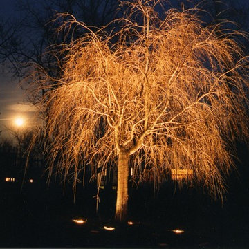 Affordable Lawn Sprinkler and Lighting's Artistry around Northern Virginia