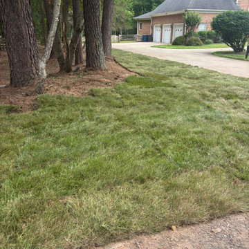 Safe Tree Removal and Property Protection