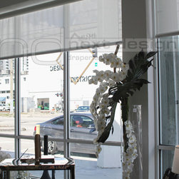 Roller Shades - Roller Shades