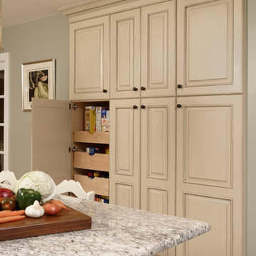 Entertainer's Delight Kitchen