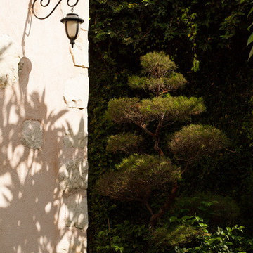 Tropical Garden Design at Villa Mimine Bali