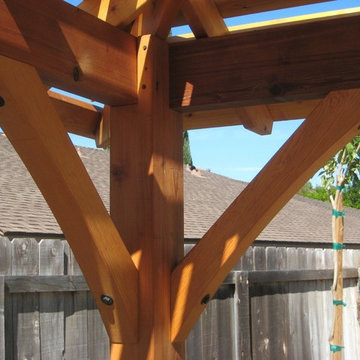 Tierra Santa Mediterranean Lawn Replacement