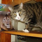 RuthAnne Blach's photo