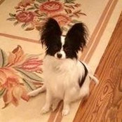 Fredricka Schleifer's photo