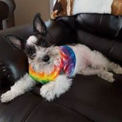 Angela Spurlin's photo