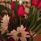 Diane Spurlin's photo