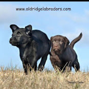 Dawn Glasco's photo