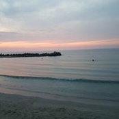 Veronica Serban's photo