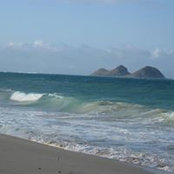 Cate Gussio's photo