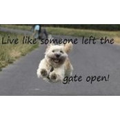 Alisha Bray's photo