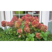 Tamra Mattos's photo