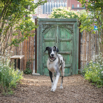 2016 South Street Pop Up Garden - Pennsylvania Horticultural Society