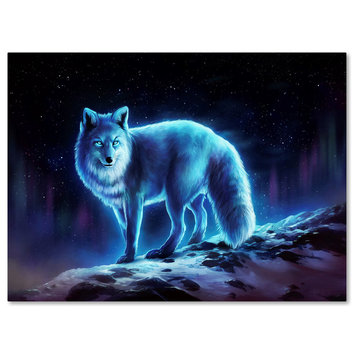 JoJoesArt 'Ice Fox' Canvas Art, 32x24