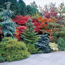 lanscape design