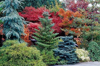 Design ideas for a large transitional full sun side yard concrete paver driveway in Raleigh for fall.