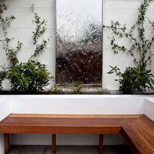 Cette photo montre un jardin sur cour tendance avec un point d'eau et des pavés en béton.