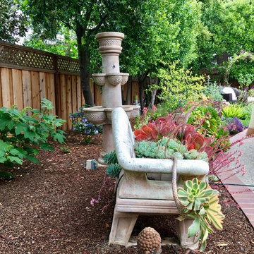 Saratoga - Lawn replacement & reduction