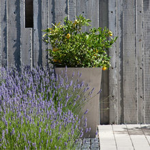 Retaining Wall