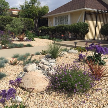 Barefoot Landscape