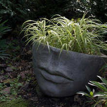 Planter Garden