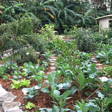 Urbanite Garden Project & Food Forest - New Port Richey, FL