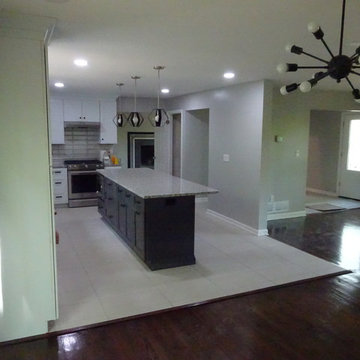 Whole house remodel - Flip home