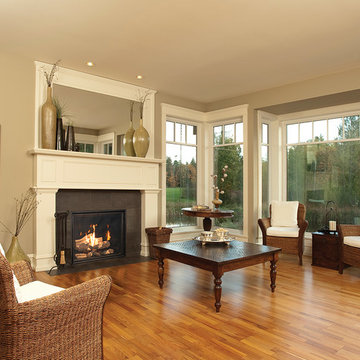 TC36 Indoor gas fireplace